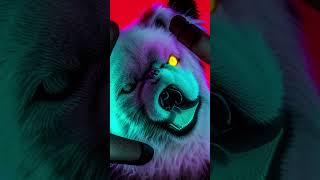 Ais Interpretation Of I Want To Look Like A Boss