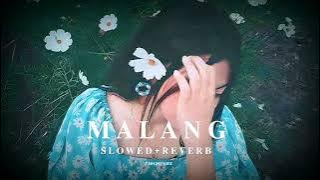 𝙈𝙖𝙡𝙖𝙣𝙜 𝙎𝙤𝙣𝙜 ( 𝙎𝙡𝙤𝙬𝙚𝙙   𝙍𝙚𝙫𝙚𝙧𝙗 ) 𝘿𝙃𝙊𝙊𝙈 3