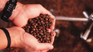 Offshore Coffee | Roasting