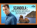 Pourquoi la réserve de Scandola n'est plus protégée ? – Hugo Clément enquête [Sur le front]