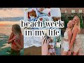 SUMMER WEEK IN MY LIFE: virginia beach, visiting maya, swims at sunset, sushi dates & more!!