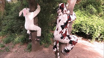 Brown Metaphor - Cortometrage