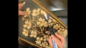 Dogwood Flower Black Background Pyrography in Real Time with Dremel VersaTip