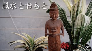 開運！万年青　斑入り　都の城　超大型　オモト　風水 mqdefault.jpg