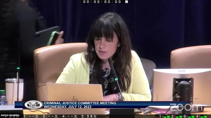 Criminal Justice Committee Meeting 7/12/2023