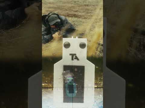 Federal 165 grain Fusion ammo vs AR550