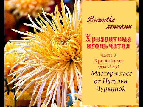 Мастер-класс "Хризантема игольчатая" от Натальи Чуркиной. Часть 3 ...