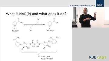 Biocatalytic redox reactions for Organic Synthesis (FULL)