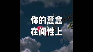 201805 你的意念在闻性上25591