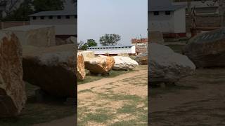 Ram Mandir construction: Shaligram rocks from Nepal for Ram Mandir ytshorts nepal ayodhya shorts