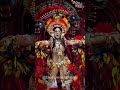 Isabelle Nogueira VIRA ONÇA MÍTICA e EMOCIONA Parintins! #shorts