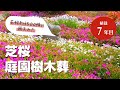 芝桜庭園樹木葬│芝桜満開までの軌跡│ナチュラルガーデン樹木葬