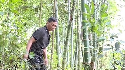 Người cựu chiến binh – Nạn nhân chất độc da cam vươn lên  trong cuộc sống.