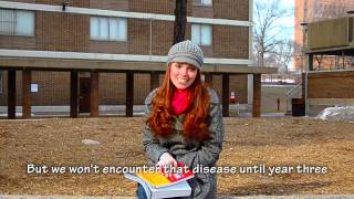 Hell Little School - Med School Parody Belle From Disneys Beauty And The Beast