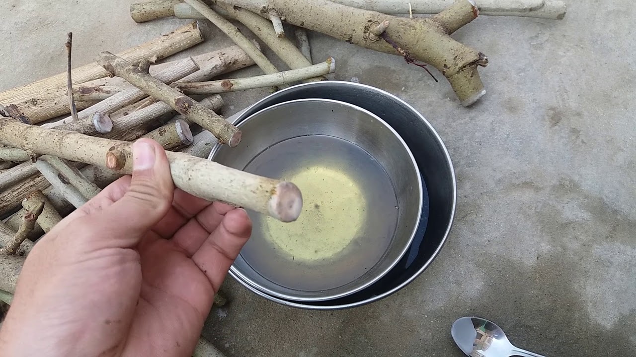 Waxing Of Plant Cuttings With Hot Wax In Urdu Hindi YouTube