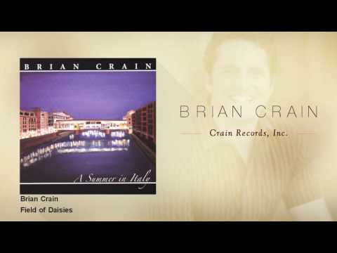 Putar Field of Daisies - Brian Crain