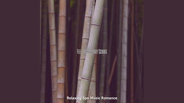 Vivacious Backdrops for Memories