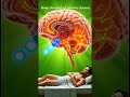 What Happens Inside Your Body When You Drink coffe #coffee #coffeescience #insomniacoffee #health