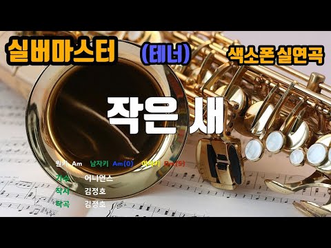 [은성 반주기] 작은새 - 어니언스 노래/ MR / 가사 / 반주