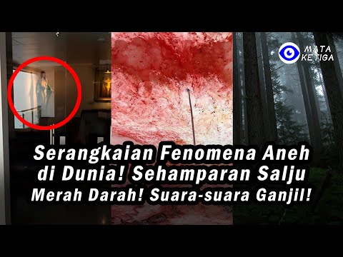 Video: Apa Itu 