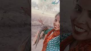 #newsong #song a p h baj ke kenya saree chamaktaar hai #dance