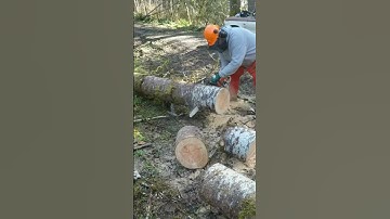 Bucking Logs With Cant Hook w/ Log Jack