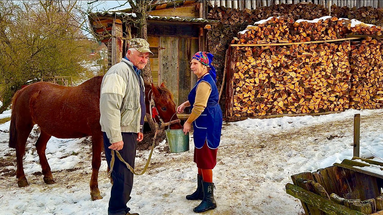 A happy family life in a high-mountain Carpathian village