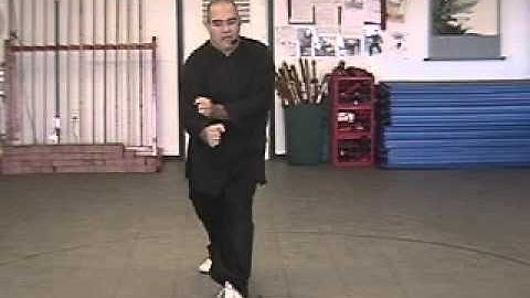 Hsing Yi - 5 Element Form - Movement 3