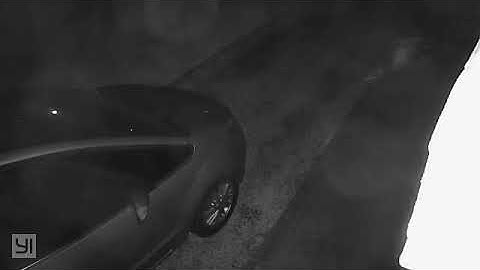 FLYING SQUID OR RUBBISH CAUGHT ON SECURITY CAMERA