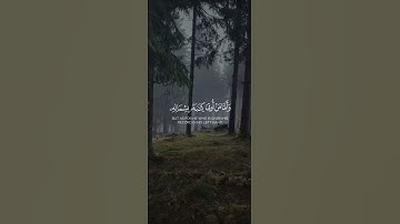 《 وأَمّا مَنْ أُوتِيَ كِتابَهُ بِشِمالِهِ》❤️🍃 | محمد اللحيدان - سورة الحاقة | mohammad allahidan