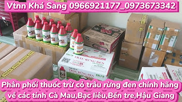 Cung cấp thuốc trừ cỏ trâu rừng đen chính hãng về các tỉnh.Vtnn khá Sang 