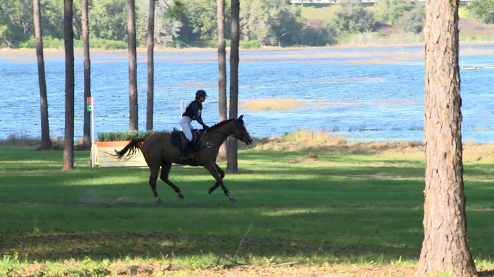 Lola Bourgeois  "Higbee Beach"  Three Lakes Horse ...