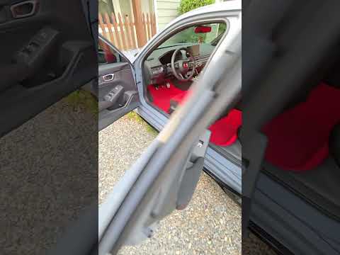 Dream Automotive Front Seat Covers