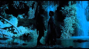 映画『ブンミおじさんの森』予告編