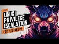 Linux Privilege Escalation Examples From Zero to Hero - OSCP