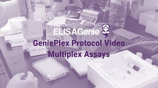 GeniePlex Multiplex Assay Protocol | Assay Genie