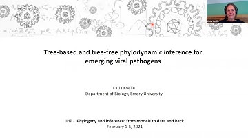 Tree-free phylodynamic inference for emerging viral pathogens and lineages