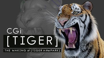 CGI Tiger In The Park - THE MAKING [Animation]