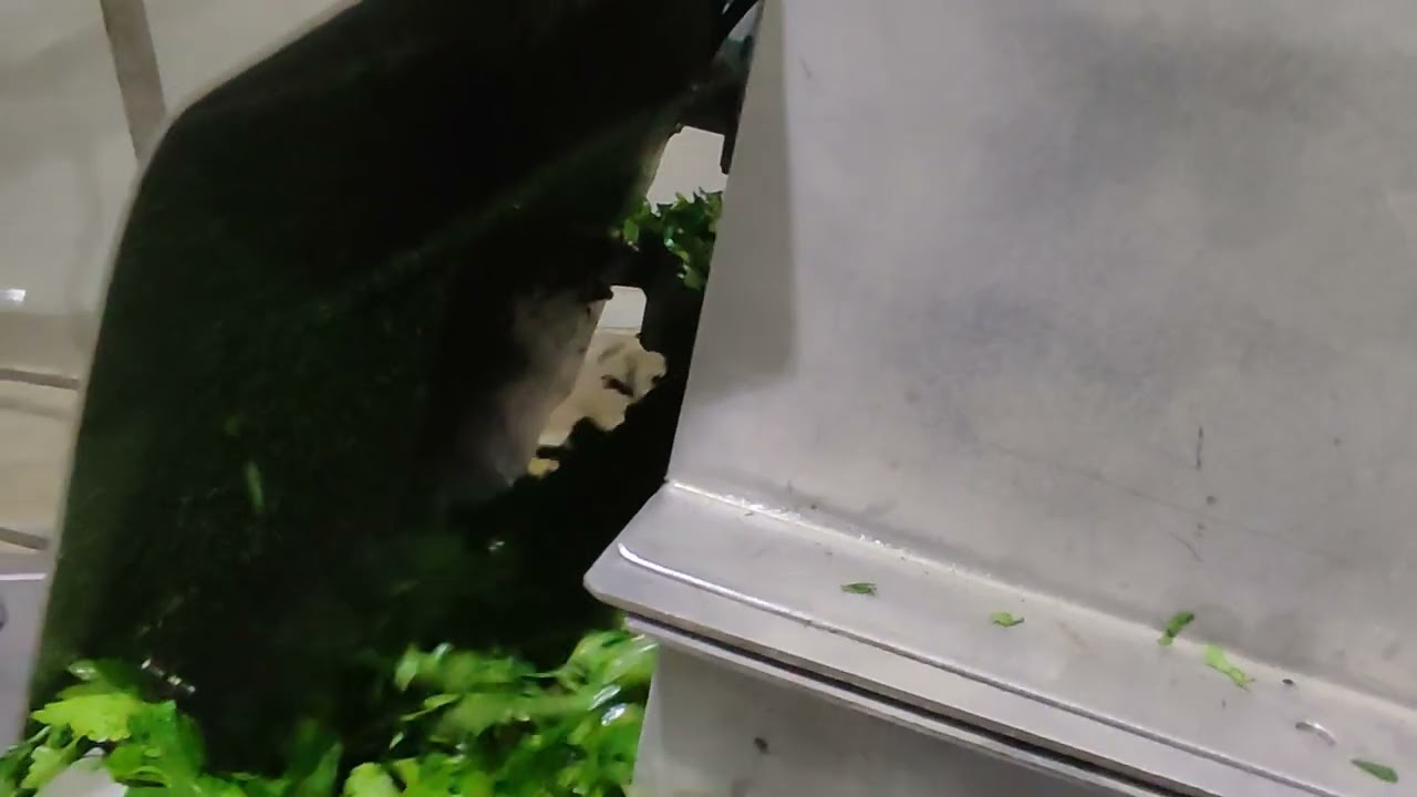 KURUTMA HATTI  &  DRYİNG LİNE