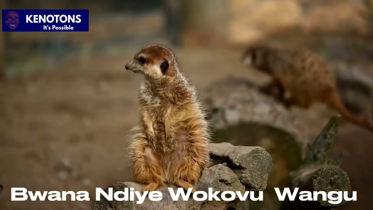 Bwana Ndiye Wokovu Wangu 