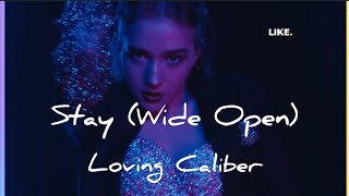 Stay (Wide Open), Loving Caliber, Lyrics/HD Lyric Video
