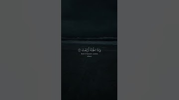 اجمل حالات واتس اب بصوت احمد الخضر | سورة التكوير | تلاوة هادئة و مؤثرة 🤍