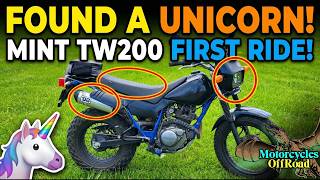 TW200 Walk Around: Is it Still the Best Beginner Bike in 2026?