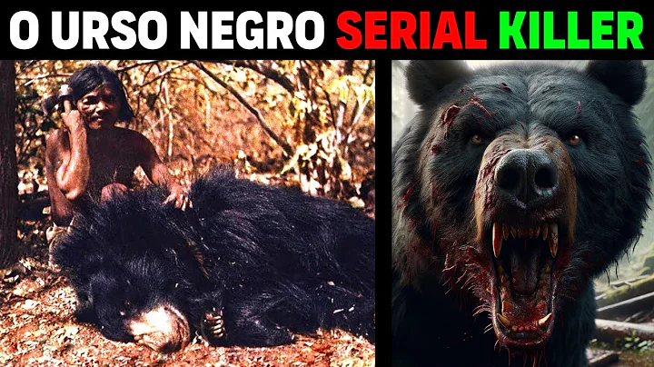 Urso de Mysore: O URSO MAIS PERIGOSO DO MUNDO (Documentário Completo)
