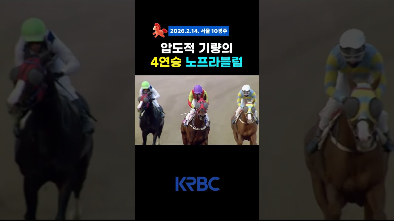 4연승쯤이야 노프라블럼!  #경마 #horse
