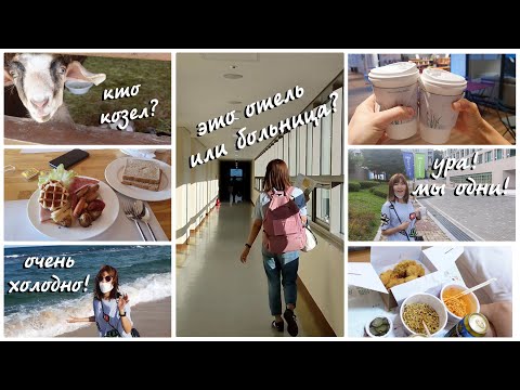 Video: Kimchi: Foto Və Videolarla Addım-addım Koreyada Dadlı Çin Kələminin Reseptləri