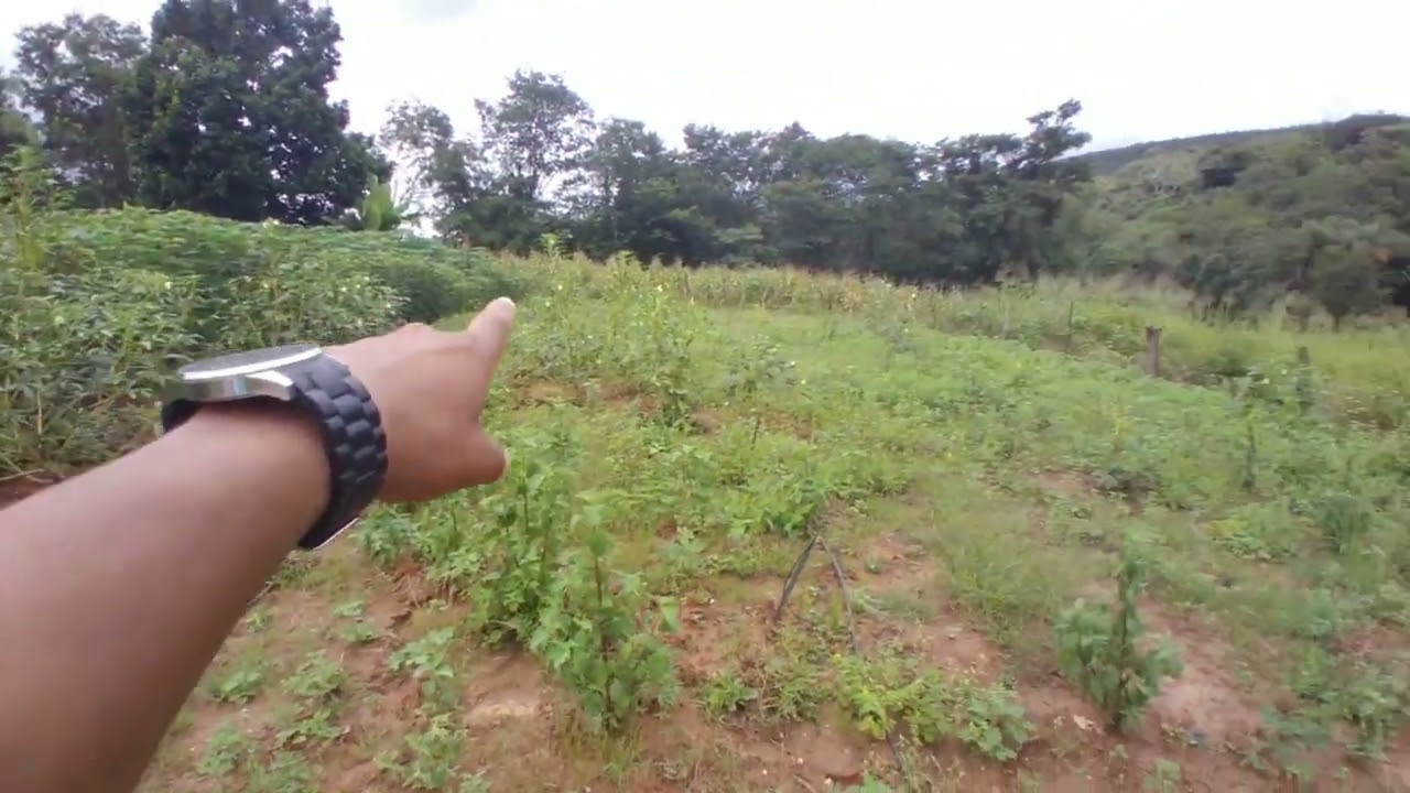 FAZENDA CM  40 HEQUITARESA VENDA NO MUNICÍPIO DE FRUTA DE LEITE MG, 3 KM DA CIDADE (38)998289680