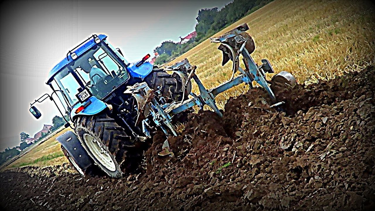 Orka Pod Rzepak ! || New Holland TD80D, Rabewerk ||