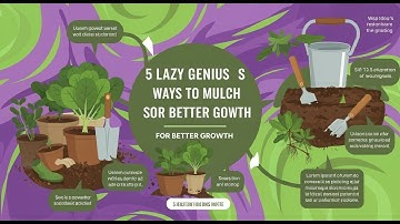 A Lazy Genius Way to Restore Dead Soil