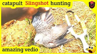 Slingshot hunting Birds| birds Hunting with Slingshot